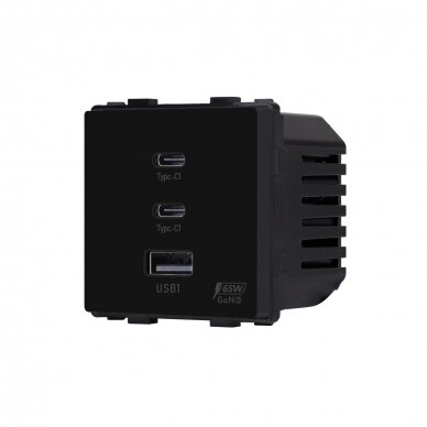 Greito krovimo rozetė Feelspot su USB+C+C jungtimis, 65W, juoda 1