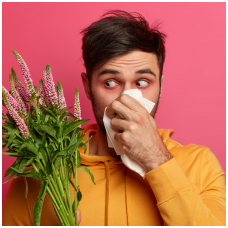 Kova su nematomu priešu – alergija: priežastys ir sprendimo būdai